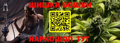 индика Жуковский
