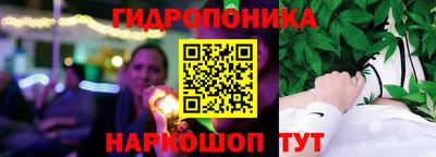 индика Жуковский