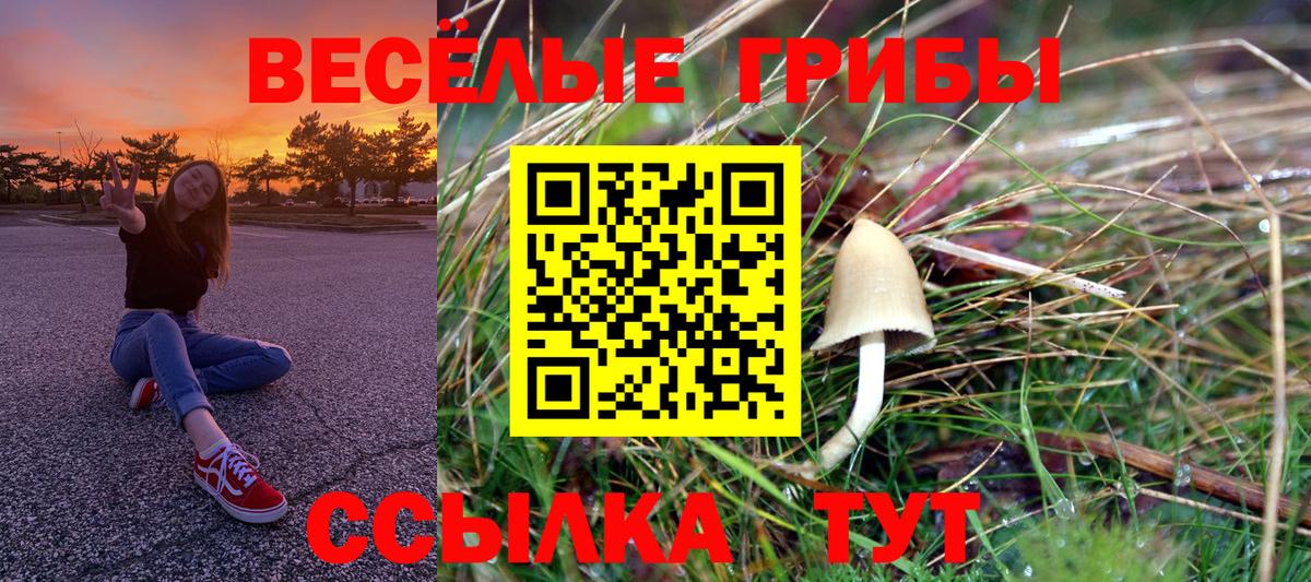 Псилоцибиновые грибы GOLDEN TEACHER Луга